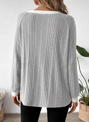 Long Sleeve Shirts for Women Casual Fashion Loose Fit Womens Tops Crewneck Basic Pullover Tunics