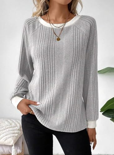 Long Sleeve Shirts for Women Casual Fashion Loose Fit Womens Tops Crewneck Basic Pullover Tunics