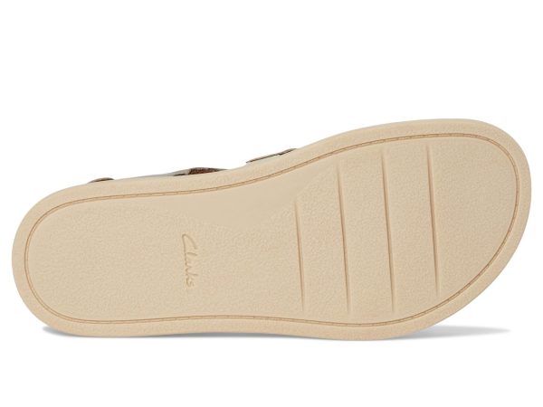 Women's Arwell Sun Sandal
